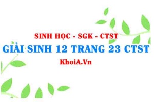 Giải Sinh 12 trang 23 Chân trời Sáng tạo